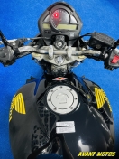 Foto Miniatura Honda CB 600F HORNET 2010