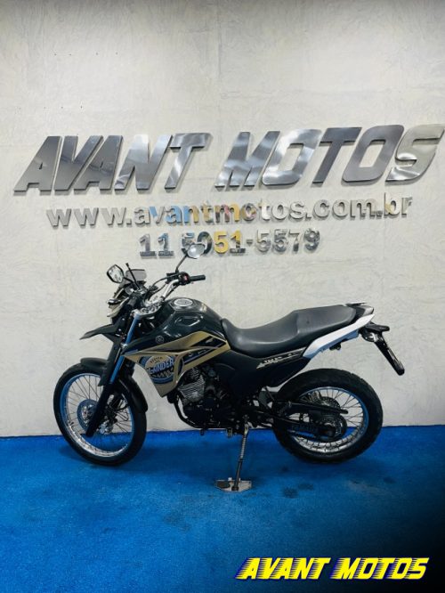 Foto Miniatura Yamaha XTZ 250 LANDER 2022