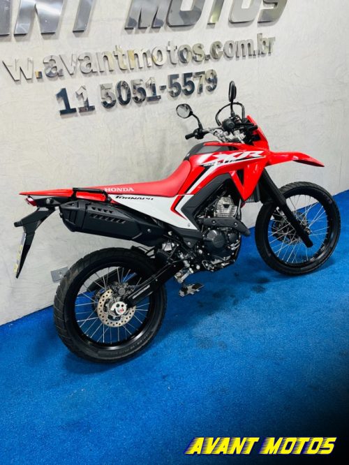 Foto Miniatura Honda XR 300L TORNADO 2025