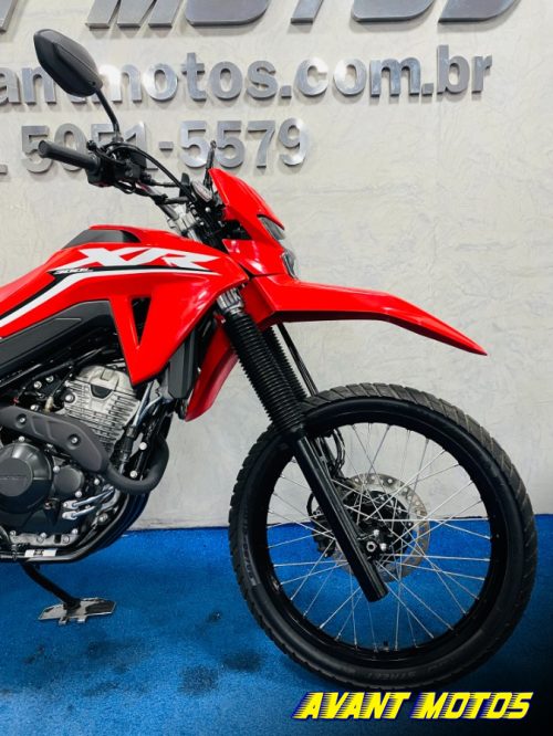 Foto Miniatura Honda XR 300L TORNADO 2025
