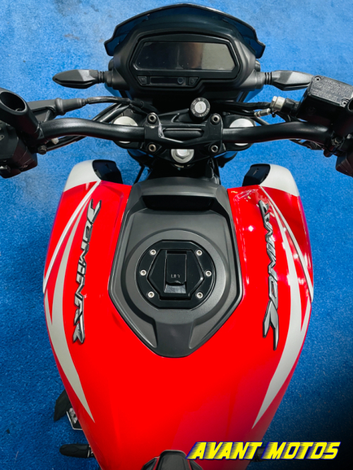 Foto Miniatura Bajaj DOMINAR D250 2025